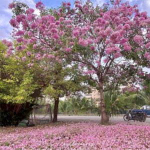 106059 311658638916011009081465739075327 842920585954806919154143147026548320269671701 474695281 757 086311326629645 212475171703877311669873233809200399632311454628799930874860936323800237