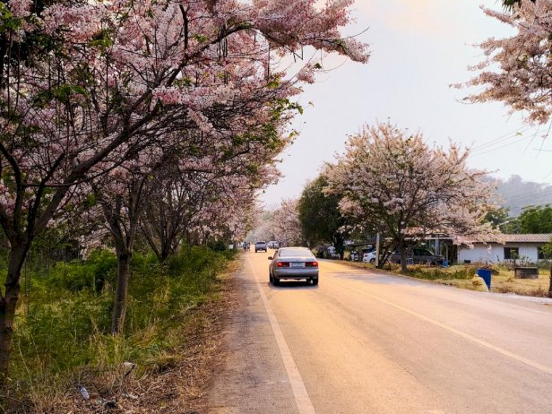 106140 285959215897379251682760013816823955 600046501751650272098067880898377114787415300429474778933 205247725708714071975739362860117387051479724862153723749390246110371