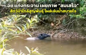 106156 273583 013096367981936707577011113594 239054202375397385 395582982259563385681 833415835805487816370754408379311957939557141864595376621965582 659010613746078889633411153251164852370894315198831