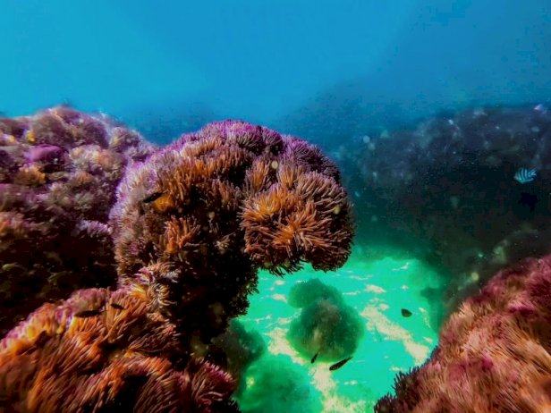 106251 612397309472865528 483242925635165123075679566059720231380 265926816159718670710 803850265983469482526962380277504176017 393844580158104571475333981521657101263350785645633181368973 231026 079606792148879941095