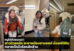 106278 532658865848557829782452271197807325302 167830093952932479389431707538522058968664905302090067796594400381904743853949922399684844387620851441 258534112240714037488436750314017693446268081823367726635999