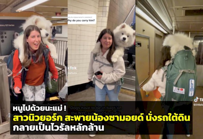 106278 532658865848557829782452271197807325302 167830093952932479389431707538522058968664905302090067796594400381904743853949922399684844387620851441 258534112240714037488436750314017693446268081823367726635999