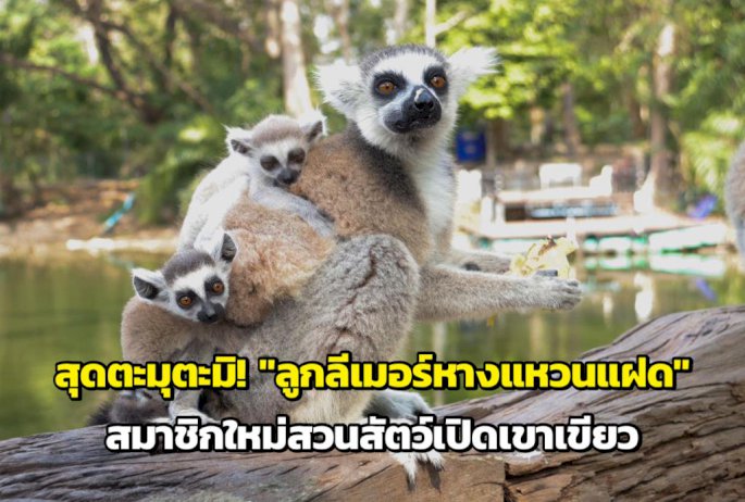 106334 421440811818782064503867972562083 278947351570532323847339426804507031091800188252678388001094 819817560235758997859675687742313047809015070076209317578722913371578338775918999878988256