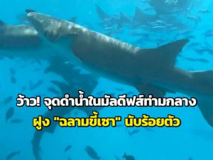 106338 785677502831 674427320831157401031880947740683749813517877137489110868235610734095001603462771573839 000020041271625908095617833470 472959576678361563381393282626