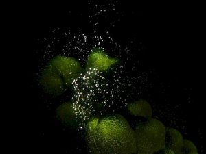 106391 615245478625974430172935112511 468167606295408445902702036711339463564093296 190909523768383012352073869028934187693474498645 949 169979656945