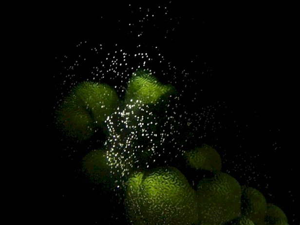 106391 615245478625974430172935112511 468167606295408445902702036711339463564093296 190909523768383012352073869028934187693474498645 949 169979656945