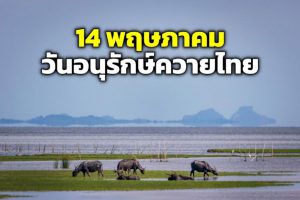 106598 14 147487329530216997717 933843649402965993387229757506307354511024487011554581