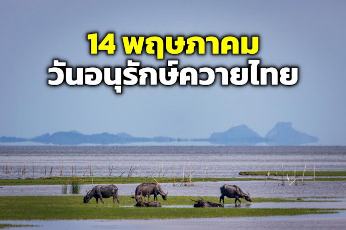 106598 14 147487329530216997717 933843649402965993387229757506307354511024487011554581