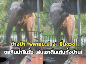 106636 521796356325477782245 046340804816141076390873527874 334018979315915590372823952873579765603886578611978461356342323056 516379977595290682533939744464514930070545462686957301472477463698859