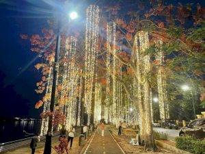 106651 003080735012669526673917954959935178 456956502343118360 968536835594147433 478772093001074176652077967936322 27 327921 081129222