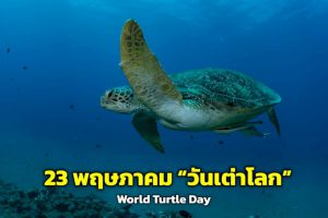 106667 23 662293239206664411686 944242385766846049152750971859