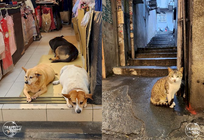 106671 731295894503197629500003631825315378404 787677659767642939 spirited away 751155893 911575359680197690476334074 653881409491197713378904649429430356957057568979369938 100325401951562666994107498302